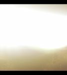 000_001_0333.jpeg