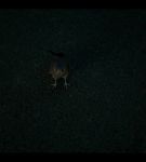 Filename=000_001_0634.jpeg
Filesize=211KiB
Dimensions=1920x1088
Date added=May 11, 2025 000_001_0634.jpeg