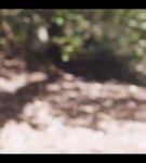 000_001_0004.jpeg