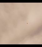 Filename=000_001_0336.jpeg
Filesize=95KiB
Dimensions=1920x1088
Date added=May 11, 2025 000_001_0336.jpeg