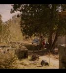 000_001_0430.jpeg