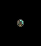000_001_0043.jpeg